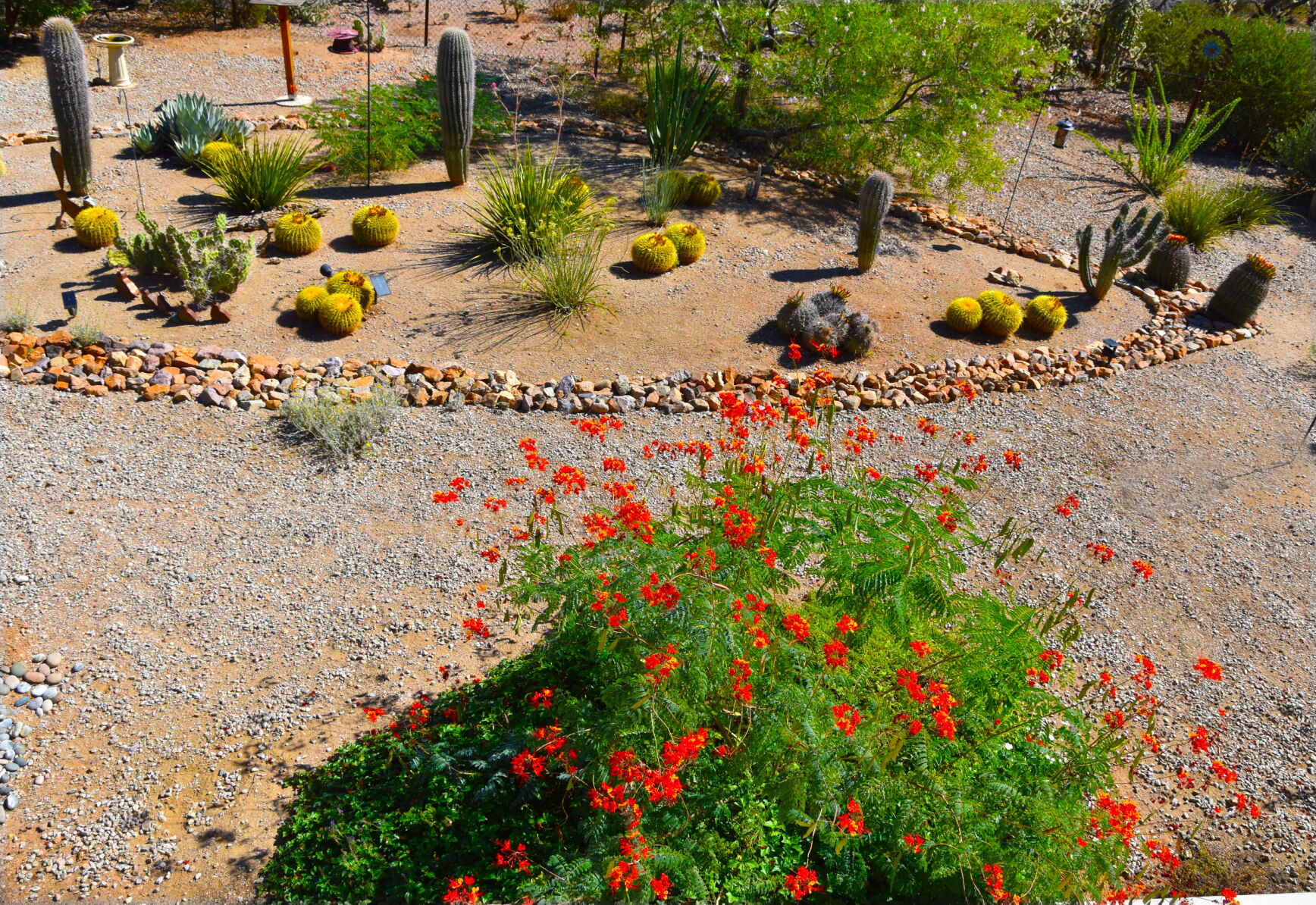 2023 Master Gardener Home Garden Show
